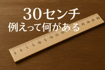 30センチ 例えって何がある？