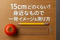 15cmどのくらい？身近なもので一発イメージ＆測り方