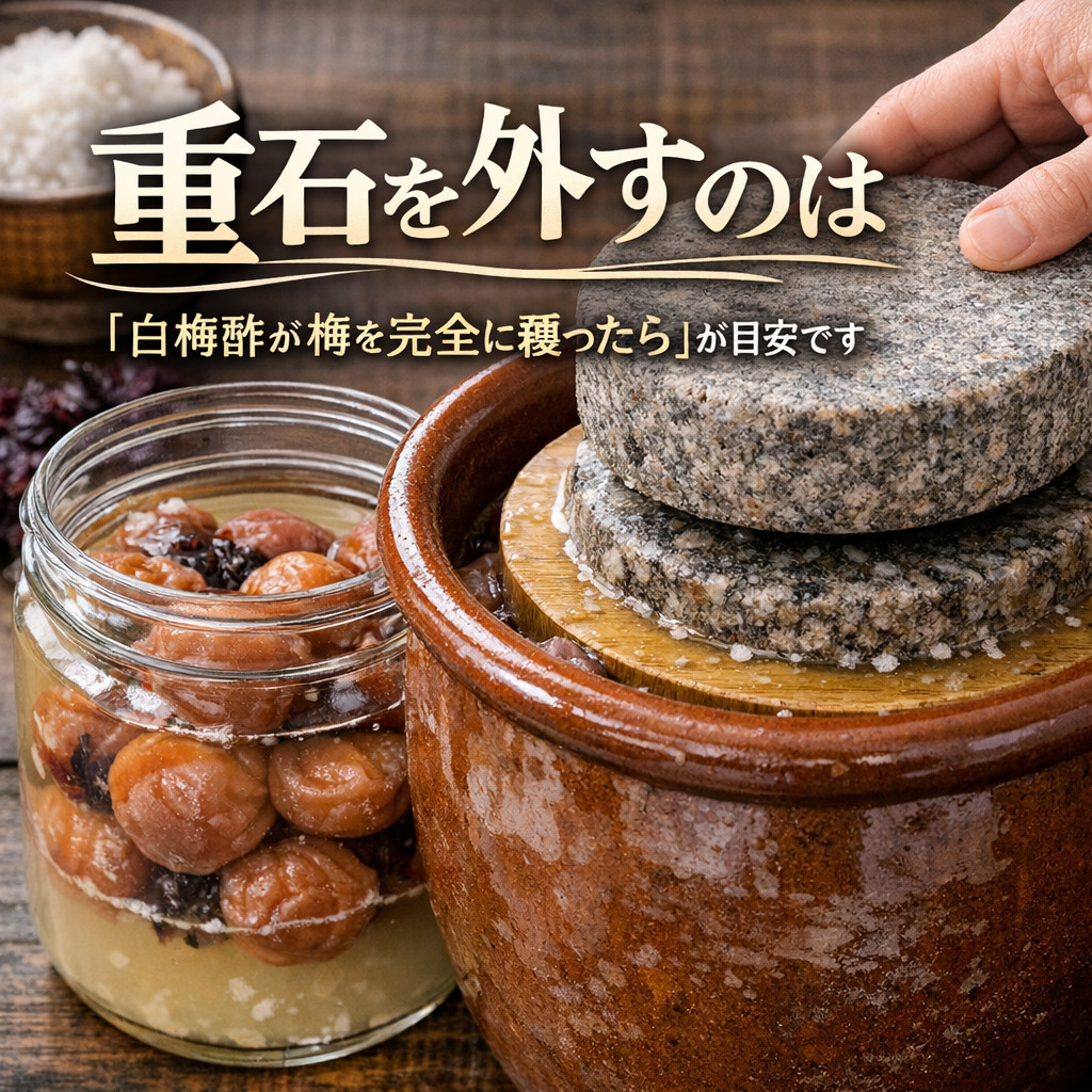 重石を外すのは「白梅酢が梅を完全に覆ったら」が目安です